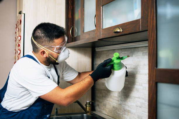 Best Wildlife Control Services  in Park City, MT