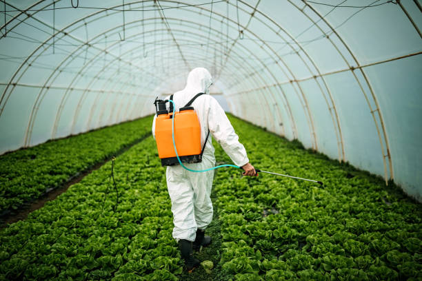 Best Affordable Pest Control Services  in Park City, MT