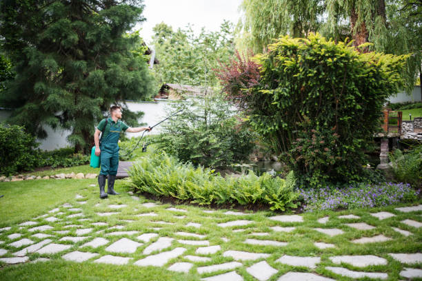 Best Termite Control Services  in Park City, MT